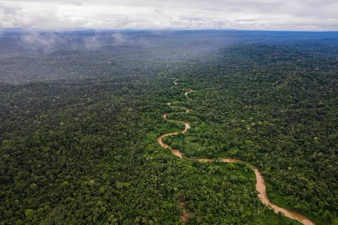 Amazon Rainforest