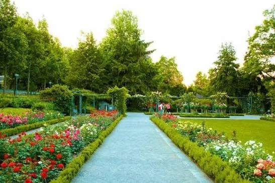 Zakir Hussain Rose Garden