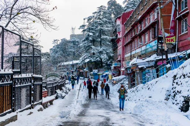Shimla