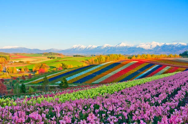 Hokkaido
