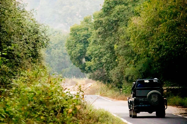 Jeep Safari