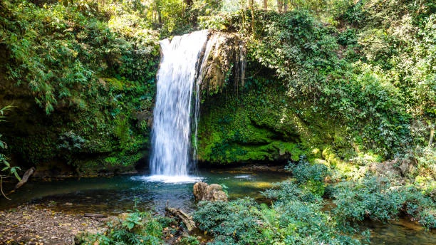 Corbett Waterfall