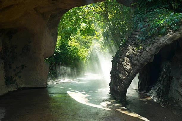 Eco Cave Gardens