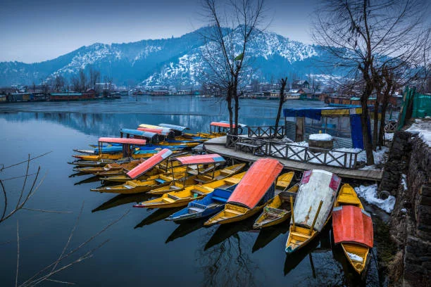 Srinagar