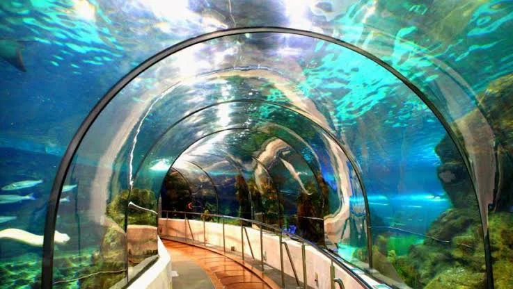 Marine Aquarium & Museum