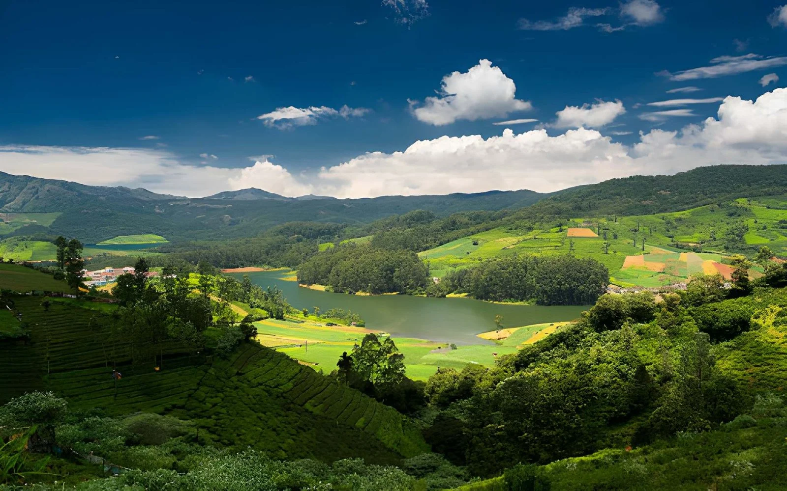 Mysore-Ooty