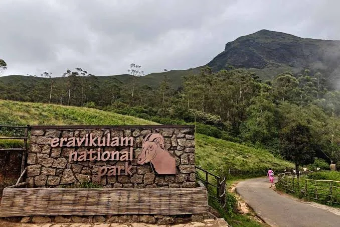 Eravikulam National Park