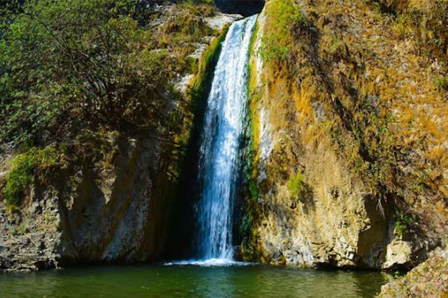 Jharipani Falls