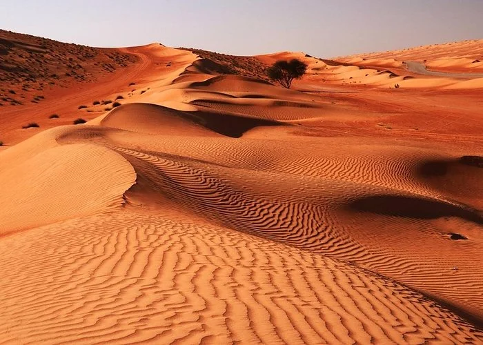 Wahiba Sands