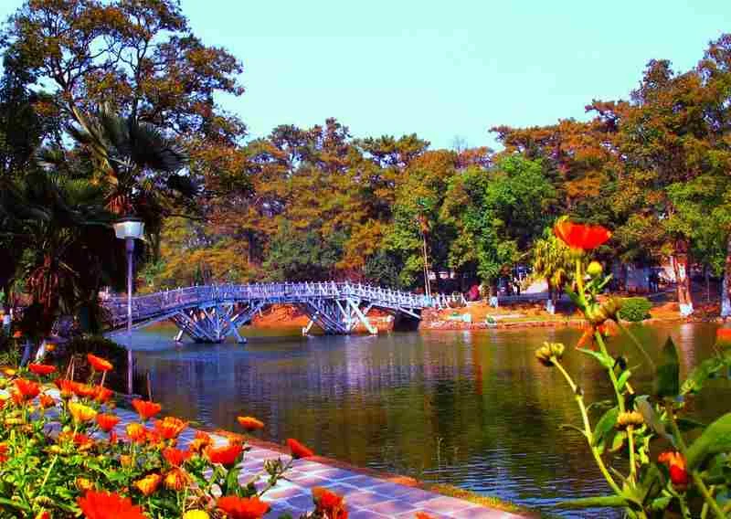 Ward's Lake