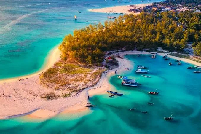 Mafia Island Marine Park